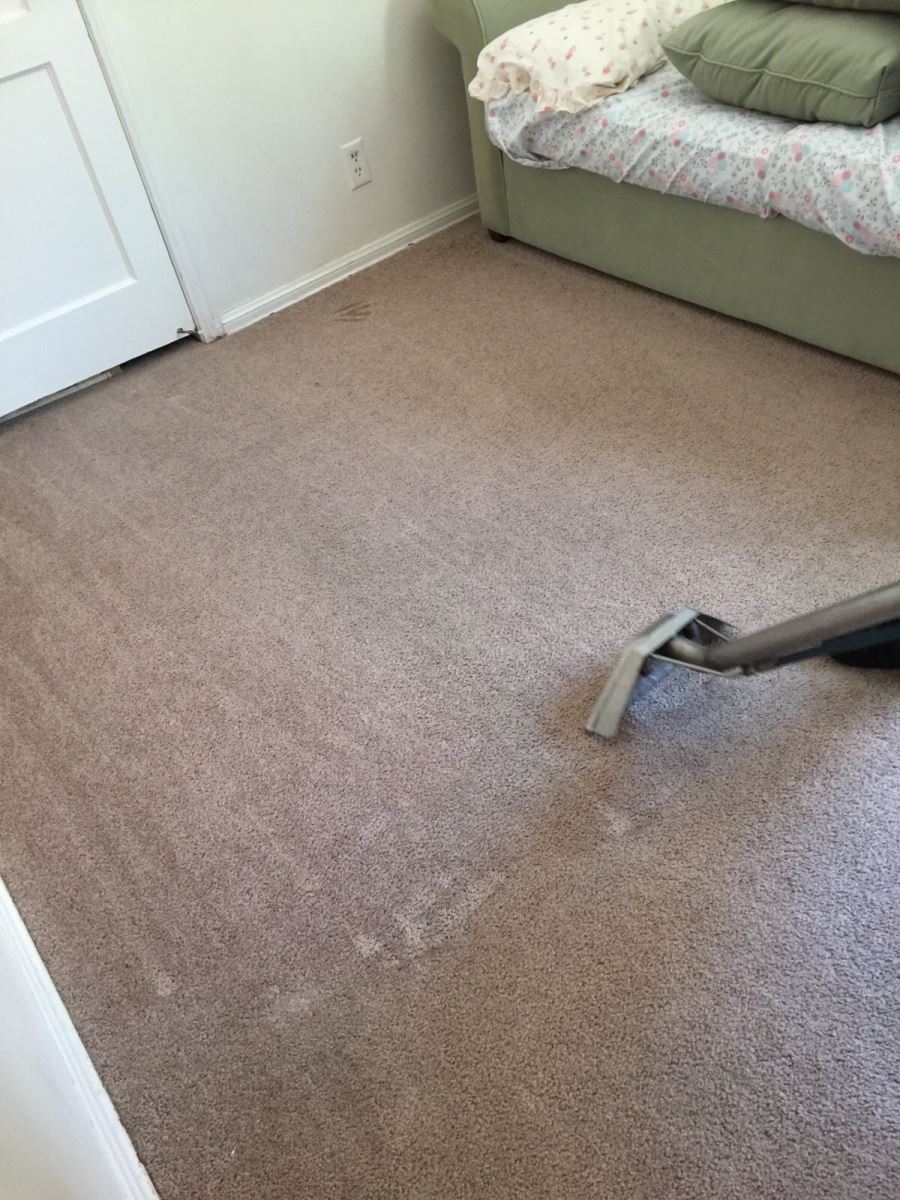 Frequently Asked Questions about Carpet Cleaning